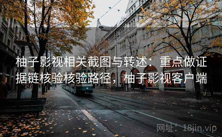 柚子影视相关截图与转述：重点做证据链核验核验路径，柚子影视客户端