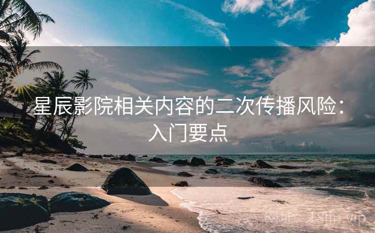 星辰影院相关内容的二次传播风险：入门要点
