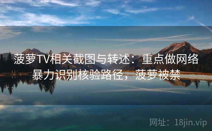 菠萝TV相关截图与转述：重点做网络暴力识别核验路径，菠萝被禁